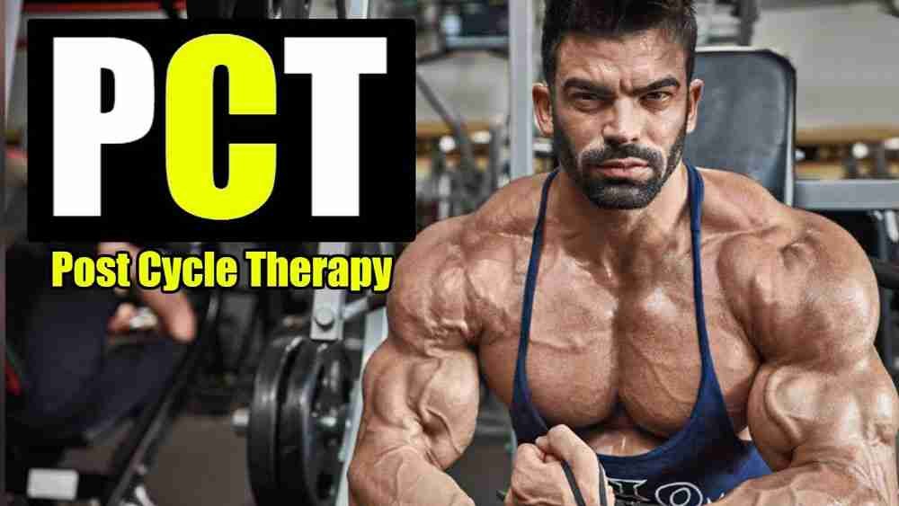 The Vital Role Of Post Cycle Therapy Pct After Steroid Cycles A