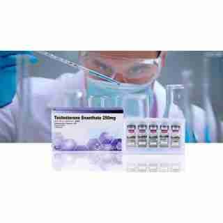 Testosterone Enanthate 250mg 10 ml Bagkok pharmaceuticals, buy injectable steroids online