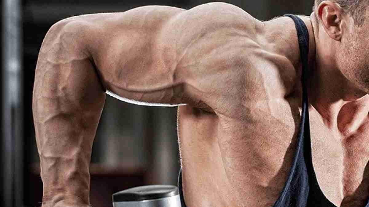 Buy legal steroids