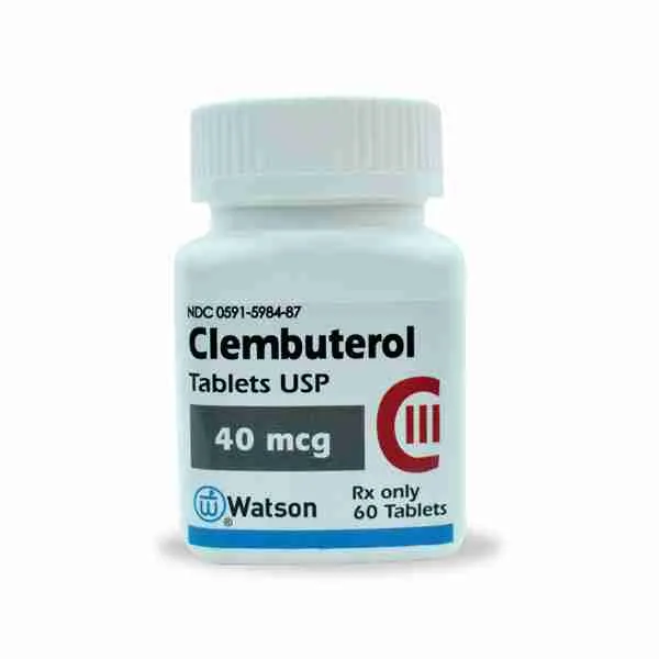 Buy USA Watson clenbuterol 40mcg 60 pills, steroids online buy