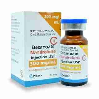 Watson Decanoate Nandrolone 300mg 10ml, buying steroids