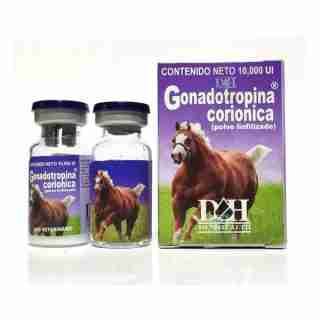 D&H DENKALL Gonadotropine 10,000 ui, buying steroids online in usa