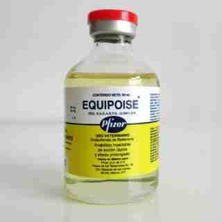 Equipoise 50mg 50ml buy USA, buy injectable steroids