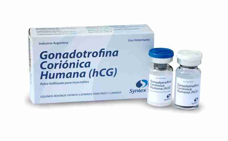 Hormonal normalization after anabolic androgenic steroid use