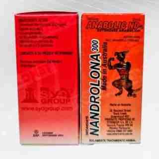 Nandrolona 300 sydgroup 20ml USA, buy anabolic steroids