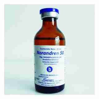 buy injectable steroids Norandren 50mg 50ml buy USA