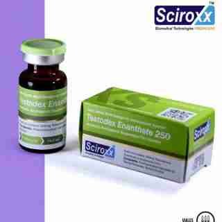 steroids buy online Testodex Enanthate sciroxx 250mg 10ml