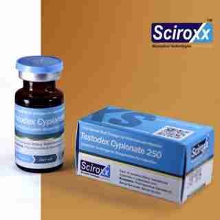 Online sales Testodex Cypionate Sciroxx250mg 10ml, steroids buy online