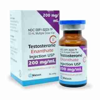 Watson Testosterone Enanthate 200mg 10ml buy anabolic steroids online