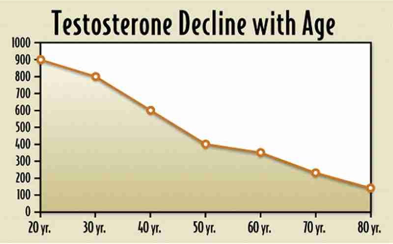 Normal Testosterone Levels May Not Be Enough, steroids buy online