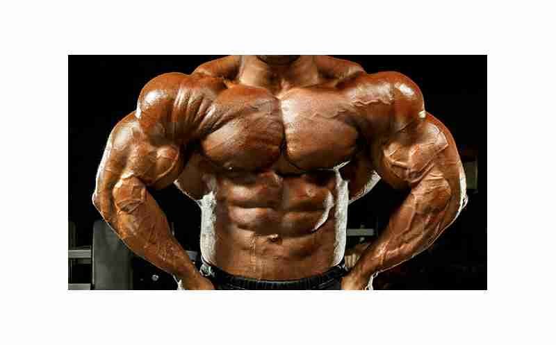 Why do bodybuilders bulk and cut? buy steroids