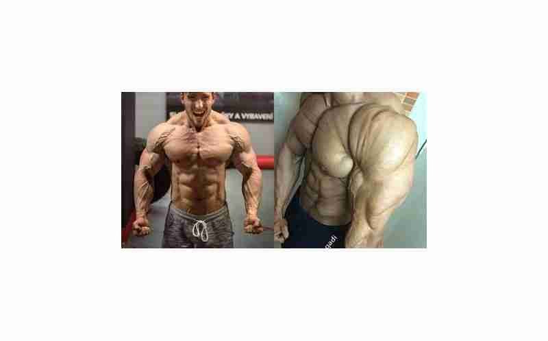 Does trenbolone really burn fat