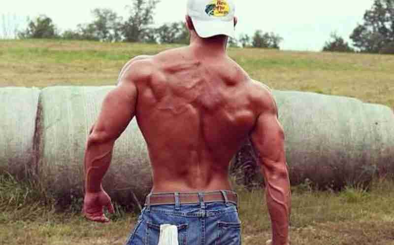 Hypertrophy, steroids online buy