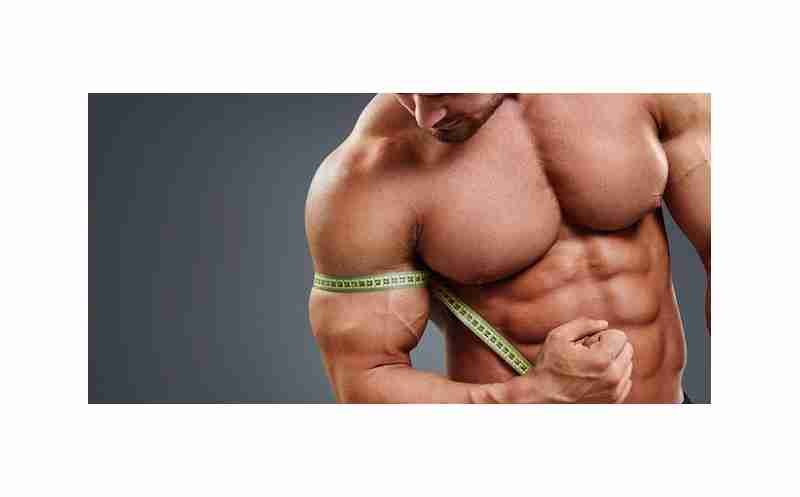 How long should have a workout for gain muscle mass?