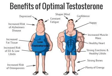 Testosterone cypionate for sale, buy testosterone cypionate online, testosterone injections, testosterone cypionate anabolic steroids, anabolic steroids for sale