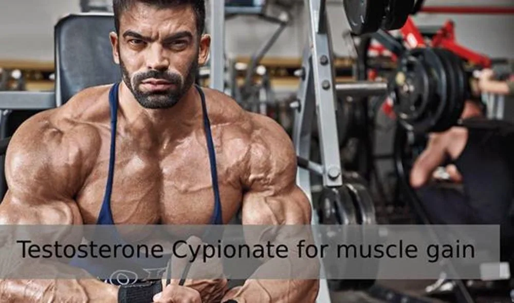 teroid for sale, anabolic steroids online, testosterone therapy, testosterone slowly absorbed, testosterone fluid retention, testosterone adverse events, steroid avaliable