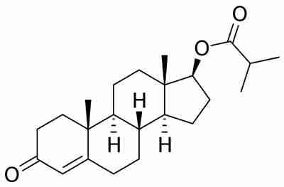 Testosterone isobutyrate profile