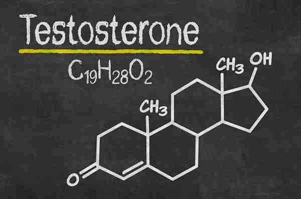 Testosterone: A Comprehensive Profile