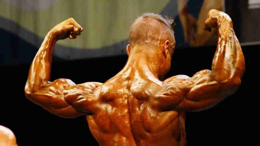 Testimonials and Satisfaction of British Dragon Customers 