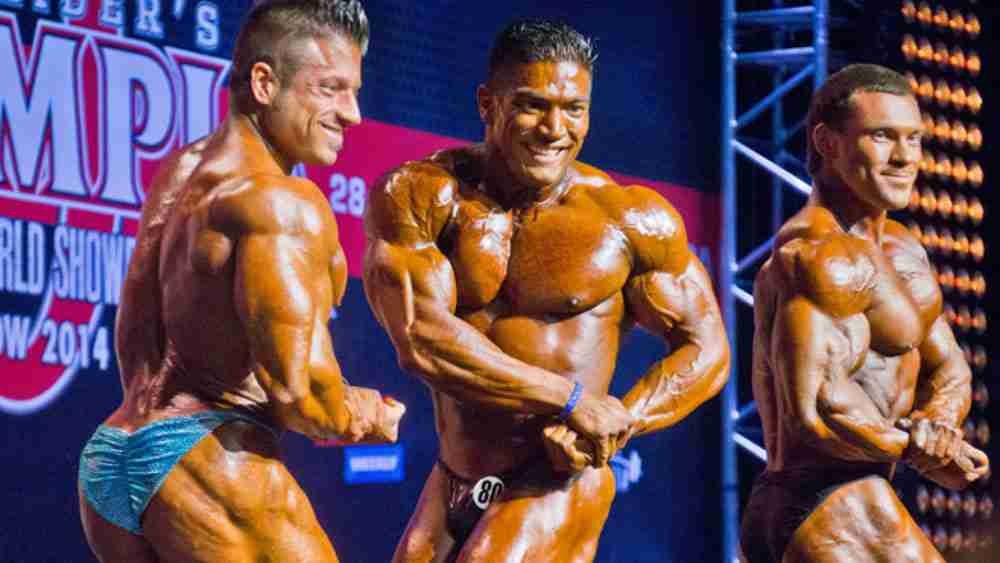 Research and Development at British Dragon 