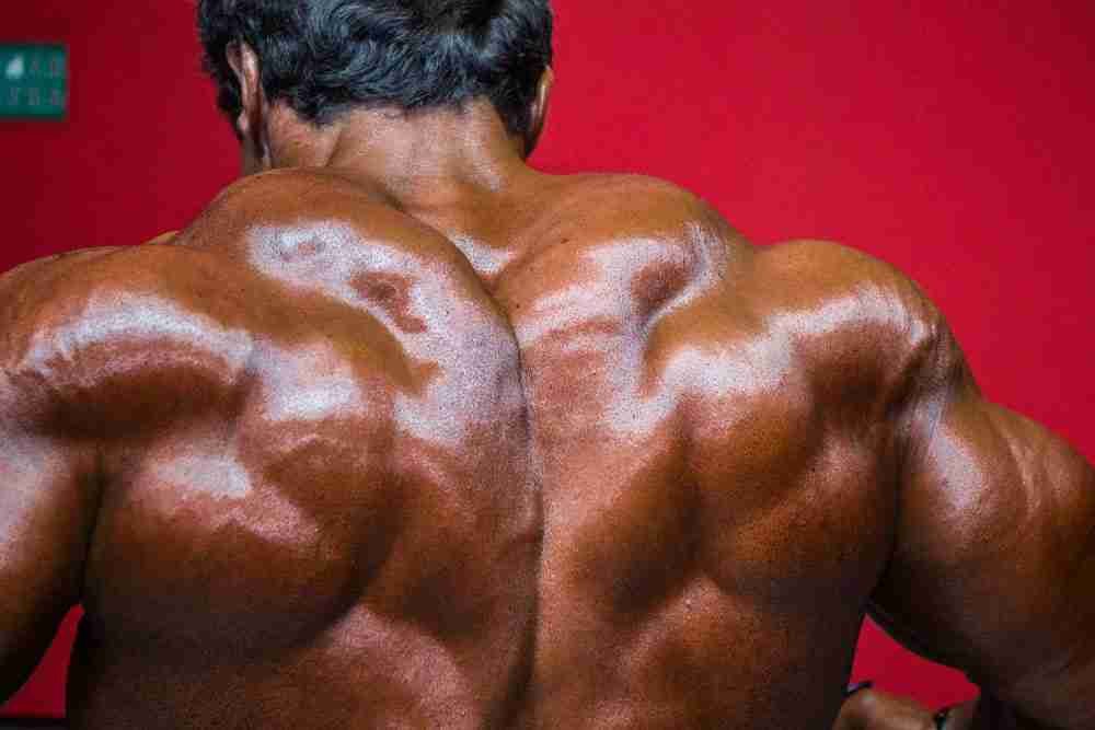 Mechanisms and Effects of Anabolic Steroids 