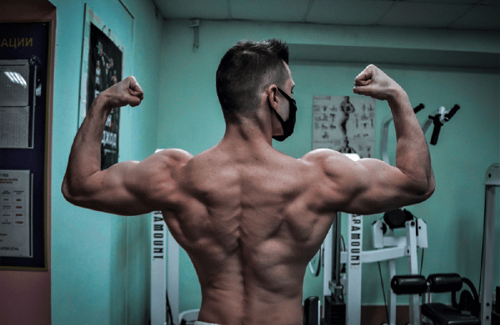 Introduction to Anabolic Steroids and Muscle Growth