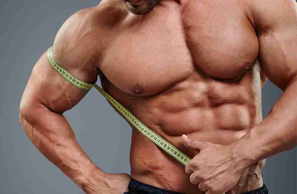 Expected Rate of Muscle Growth Naturally
