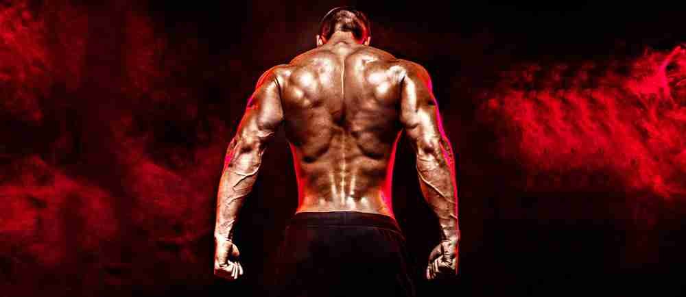 PCT Protocol After Deca Durabolin Cycles