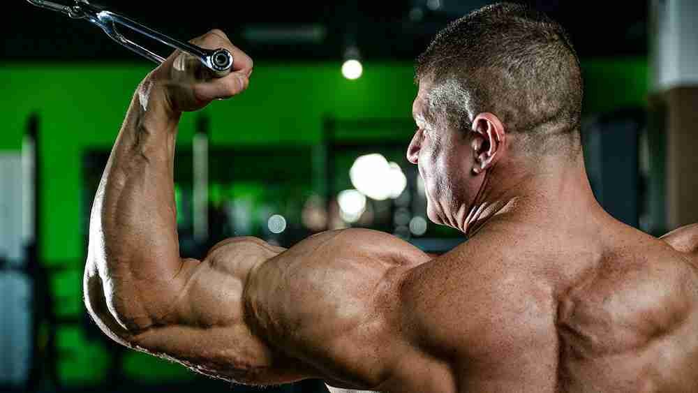 What are reliable steroid sites on the dark web