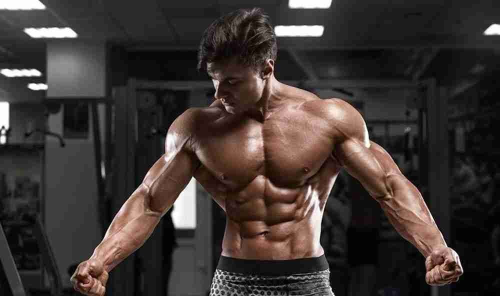 Responsible Steroid Cycles: Best Practices for Health, Gains - Steroids ...