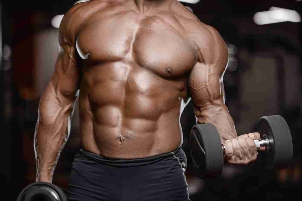 Best Steroids for Ripped Abs and Physique Definition
