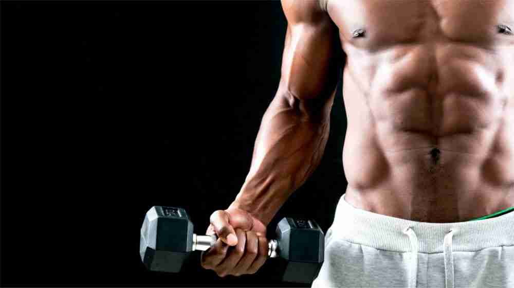 The Science of Muscle Growth with Steroid Use