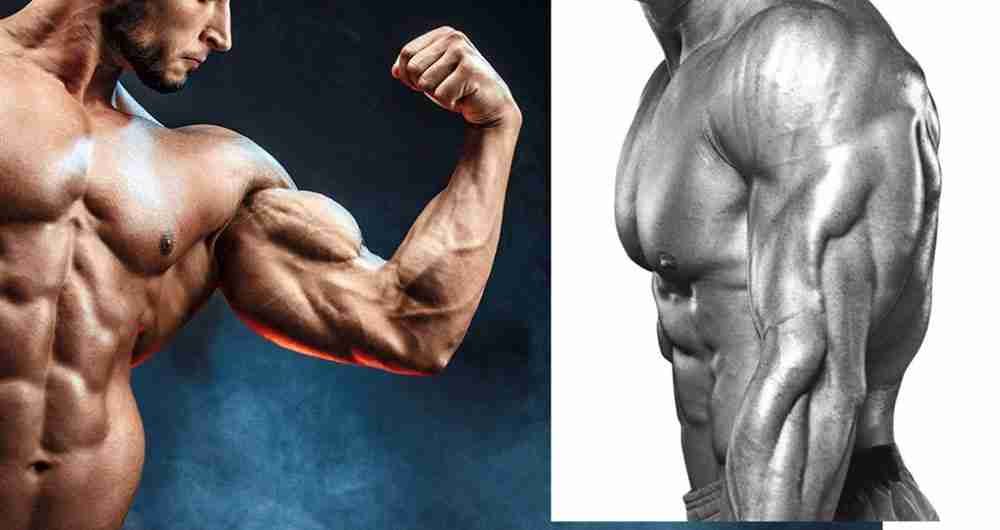 Safest Steroid Cycles for Beginners