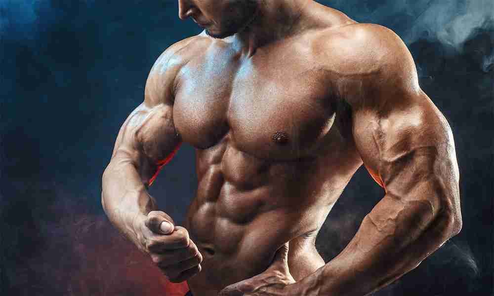 Steroids The Key to Unlocking Peak Performance
