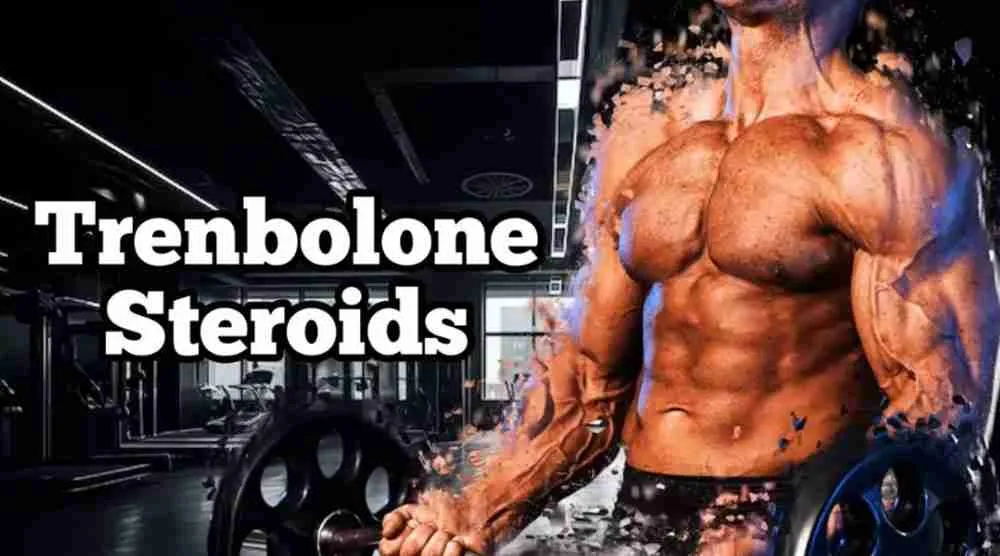 Trenbolone Cycle Duration and Dosages: A Comprehensive Guide