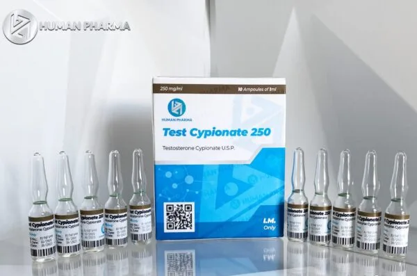 Buy Testosterone Cypionate Human Pharma, Human Pharma Testosterone Cypionate