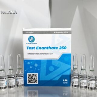 Testosterone Enanthate Buy Human Pharma in USA