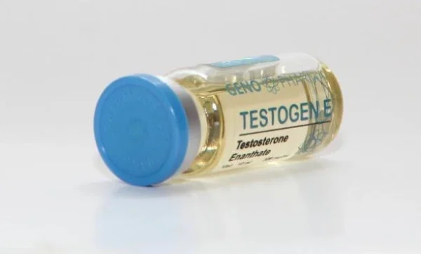 Buy Testosterone E 300mg 10 ml Geno Pharma Domestic USA/CA - Image 2