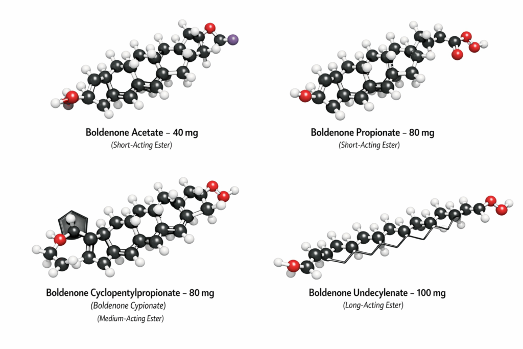 Eq 300 steroid (Nanobolde Plus): Four-Ester Boldenone 300 mg Blend Explained